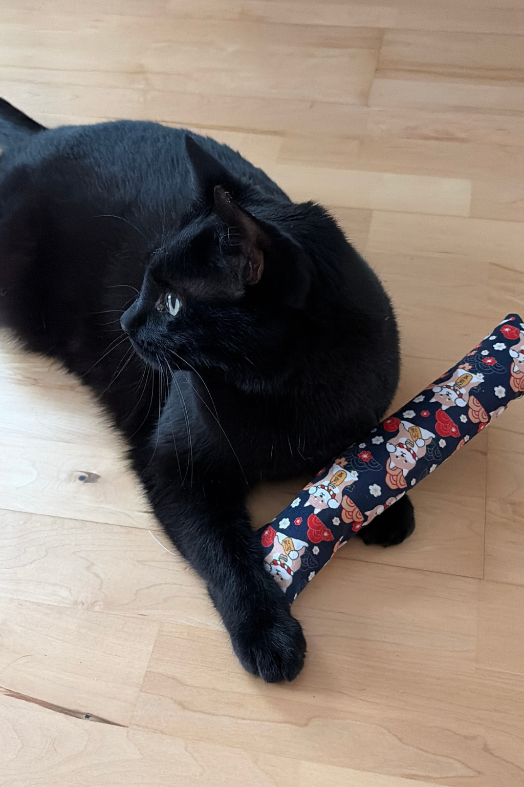 Katzenpolster mit Katzengras – Duftendes Spielvergnügen zum Kuscheln & Toben – Bild 2