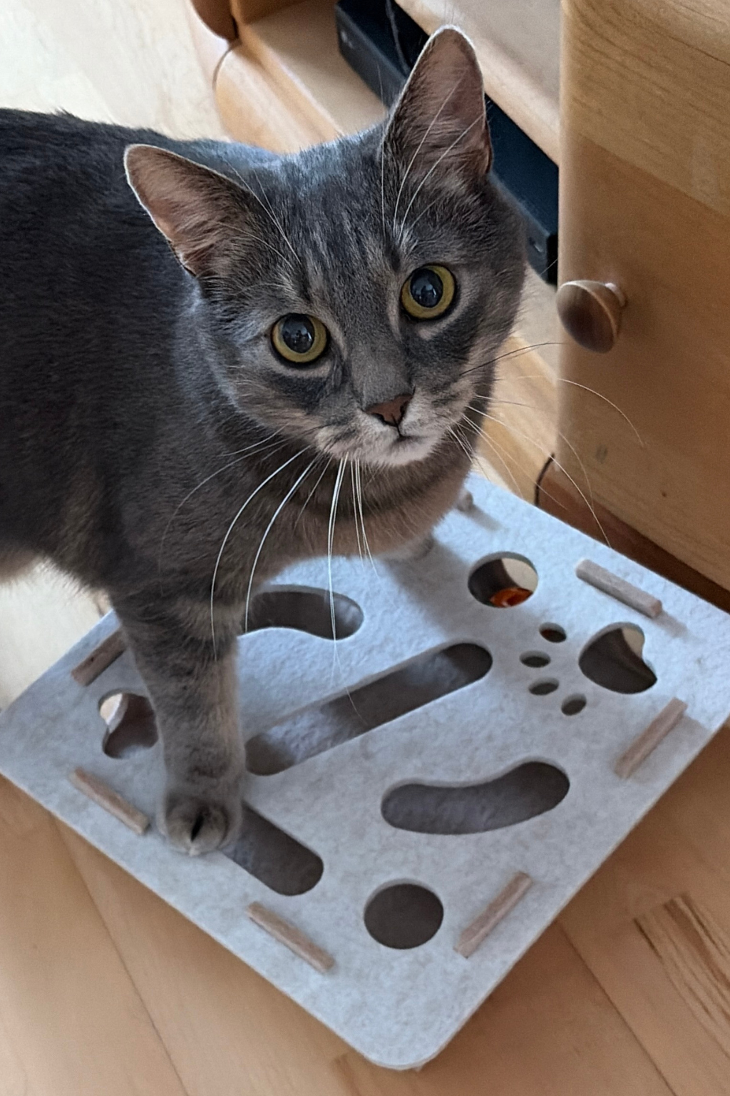 Kuschel- & Spielbrett aus weichem Filz für Katzen – Bild 2