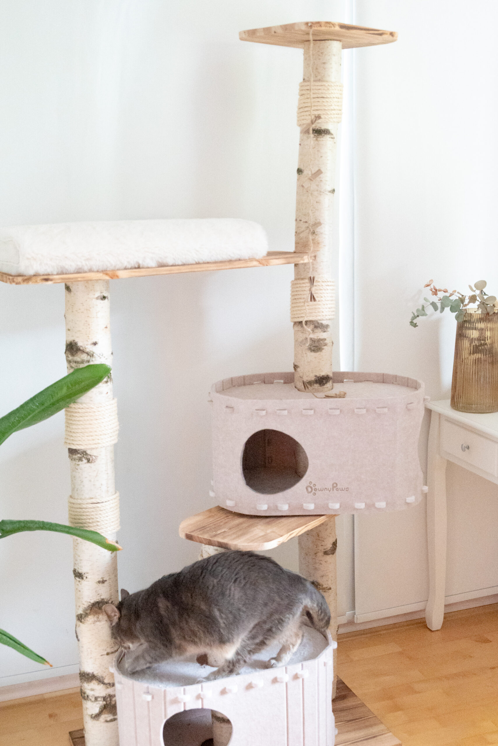 Kratzbaum Birke Höhe 2,05 m – Bild 9