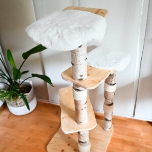 Kratzbaum Vollholz Birke